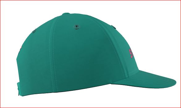 Classic Stroke Zone Snapback Cap with rear Pro Billiards Tour logo